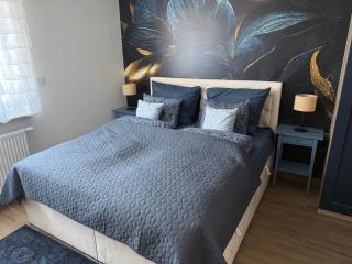 Apartament Elegancka Husarska - Wałbrzych - 8