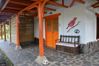 Tinamu Birding - La Manuelita - 1