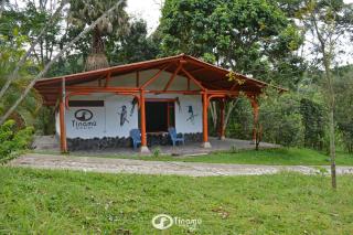 Tinamu Birding - La Manuelita - 3