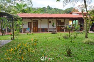 Tinamu Birding - La Manuelita - 9