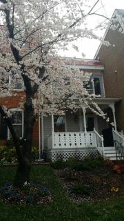 Charming, 1870's townhouse, in Old Town Alexandria - 0