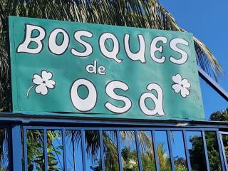Finca Bosques de Osa - Palmar Sur - 1