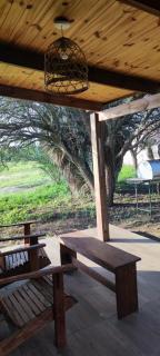 Portezuelo de árboles - 1