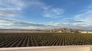 Penthouse Vista Naranjos at Santa Rosalia Lake and Life Resort - Torre-Pacheco - 3