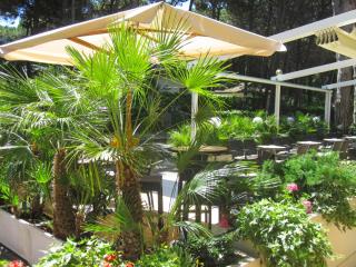Hotel Milano - Eraclea Mare - 5