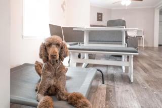 Madison Family Home & Event Rental Space on 7 Private Acers - Madison - 5