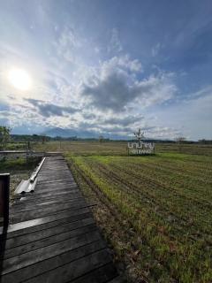 นาน้าหมูฟาร์มสเตย์ NanamooFarmStay - 1