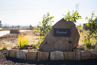 The Beltree Wine Country Glamping - Belford - 9