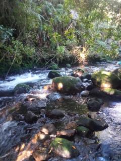 Espacio Bosque La Quemada - Puerto Varas - 3