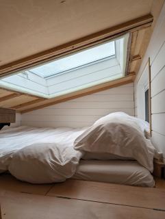 NEW Cozy Tiny House Retreat on Peaceful Farm - Schomberg - 4