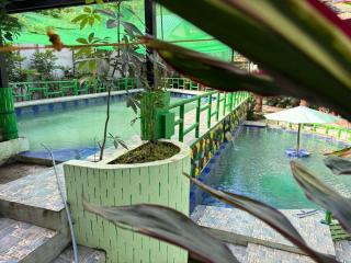 D'Lagoon Mountain Resort - - 6