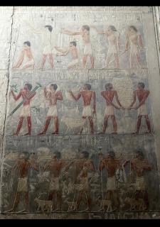 Nana Pyramids Guest House - Il Cairo - 1