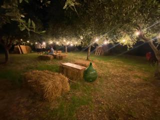 Masseria Frangiosa - Torrecuso - 8