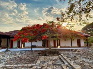 Historic Colonial Retreat Mango Farm 24ppl - Anapoima - 8