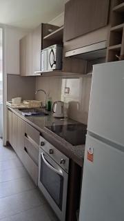 BASMEY SUITE Alto Amunategui Stgo - Santiago - 3
