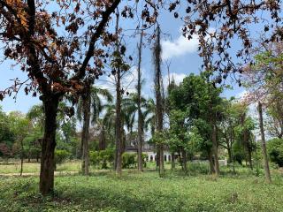 Jaadooghar- My Mom's Village Ayodhya - Phūlpur - 8