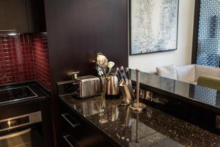 Apartments in Downtown Dubai connected to Dubai Mall - Dubai - 2