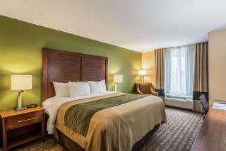 Comfort Inn & Suites Panama City North - Panama City - 5