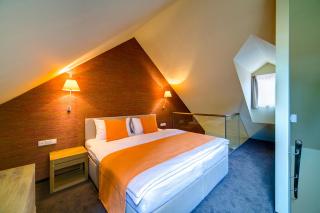 Hotel Restaurant Darwin - Prag - 7