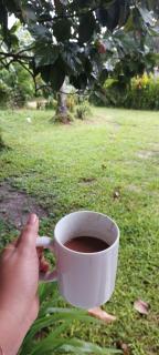 Bodhi Yoga House - 7