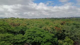 Eve Service apartment - Mysore - 8