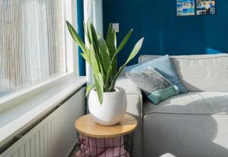 Family beach house - 1