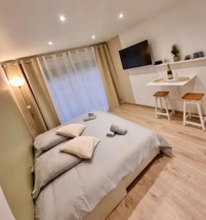 Suite cosy indépendante Évasion 2 proximité Colmar - Wintzenheim - 0