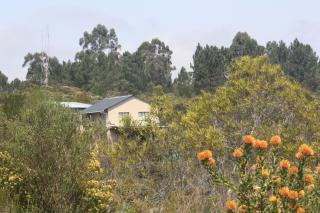Crafters Cottage - The Crags - 9