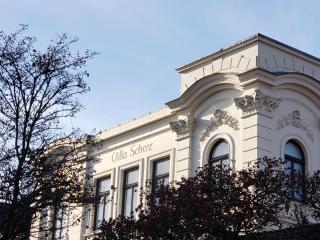 Villa Scherz - stilvoll, zentral, ruhig, EG - Borkum - 8