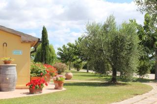 Villa Tre Cipressi - Casalappi - 4