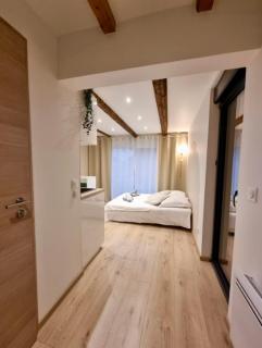 Suite cosy indépendante Evasion env Colmar - Wintzenheim - 7