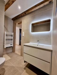 Suite cosy indépendante Evasion env Colmar - Wintzenheim - 6