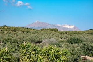 Plaka IPS Pateo Villa - 8