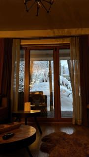 Luxury villa in Brezovica - Brezovica - 2
