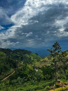 Eldorado Eco Glamping - 8