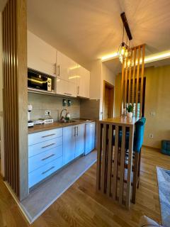 Zlatibor Apartman Aria Forest Spa & Gym - Zlatibor - 9