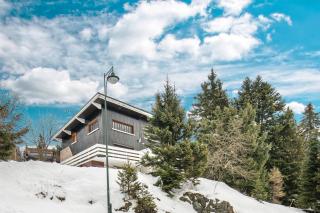 La Perchette - Joli chalet classé 3 étoiles - Chamrousse - 7