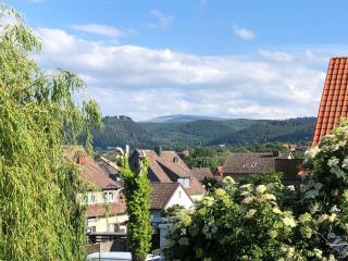 Ferienwohnung Wolfswiese - Bad Harzburg - 9