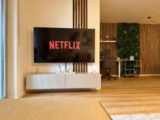 Central Apartment near Basel - Buisness&Holiday - 2