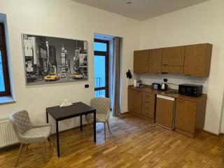 Cosy Studio with terrace near Florenc - 8