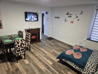 Apartamente de inchiriat Lucky House - Braşov - 7