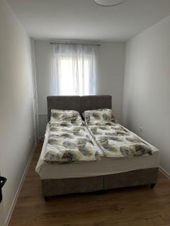 City Rent 2 - Osijek - 2