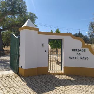 Countryside retreat Évora - Redondo - 9