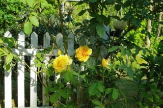 Holiday Home - Thyholm - 9