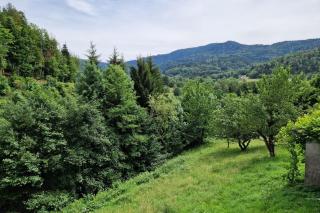 Gîte 3 étoiles jusqu'à 12 pers - Fresse-sur-Moselle - 3