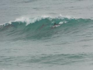 Galene Beach House - Port Shepstone - 7