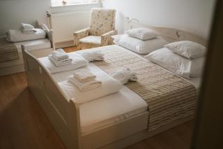 Tornácos Hotel - Hegykő - Hegykő - 4