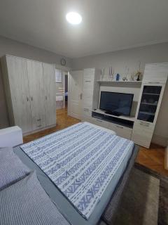 Apartman Ćurčić - Vrdnik - 4