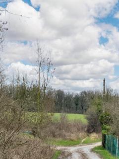 Maison spacieuse à Viarmes avec grand jardin et climatisation - Viarmes - 4