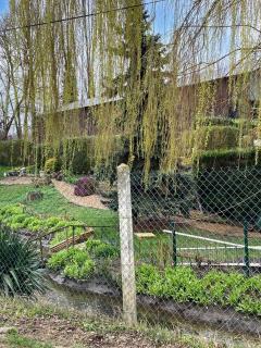 Maison spacieuse à Viarmes avec grand jardin et climatisation - Viarmes - 5